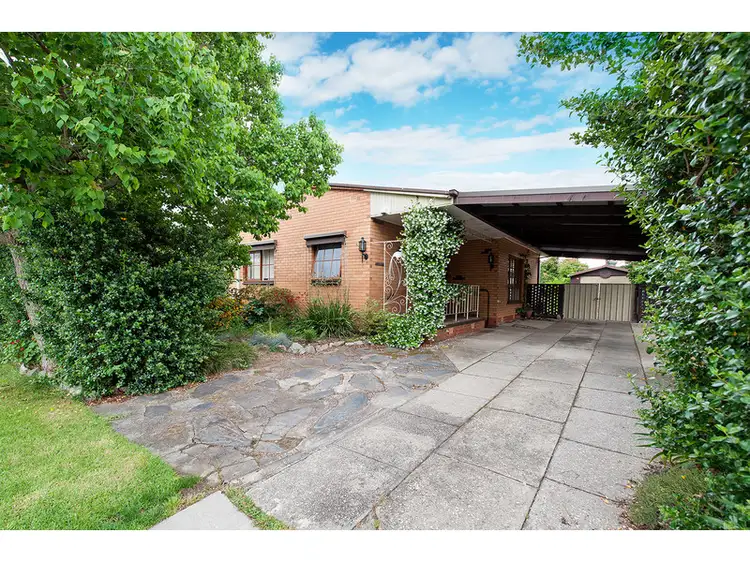 534 Douglas Road, Lavington NSW 2641
