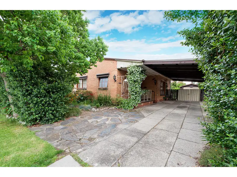 Main view of Homely house listing, 534 Douglas Road, Lavington NSW 2641