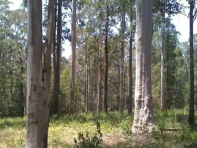 LOT 18 Tall Timber Road, Lake Innes NSW 2446