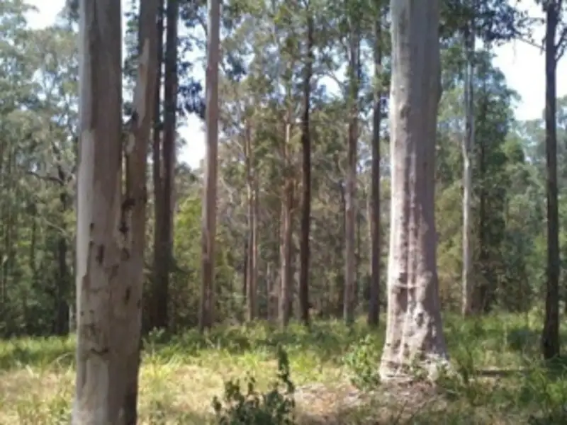 Main view of Homely land listing, LOT 18 Tall Timber Road, Lake Innes NSW 2446