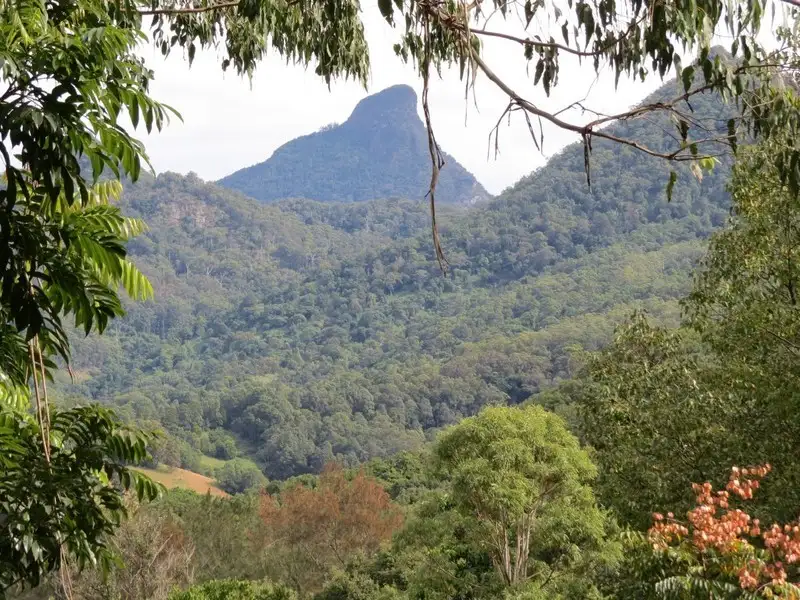 Main view of Homely house listing, 11 Mitchell Street, Uki NSW 2484