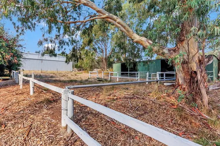 Seventh view of Homely house listing, 44 Casuarina Way, Wanneroo WA 6065