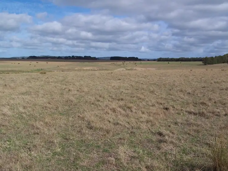 Seventh view of Homely rural property listing, 260 Rifle Butts Road, Deans Marsh VIC 3235