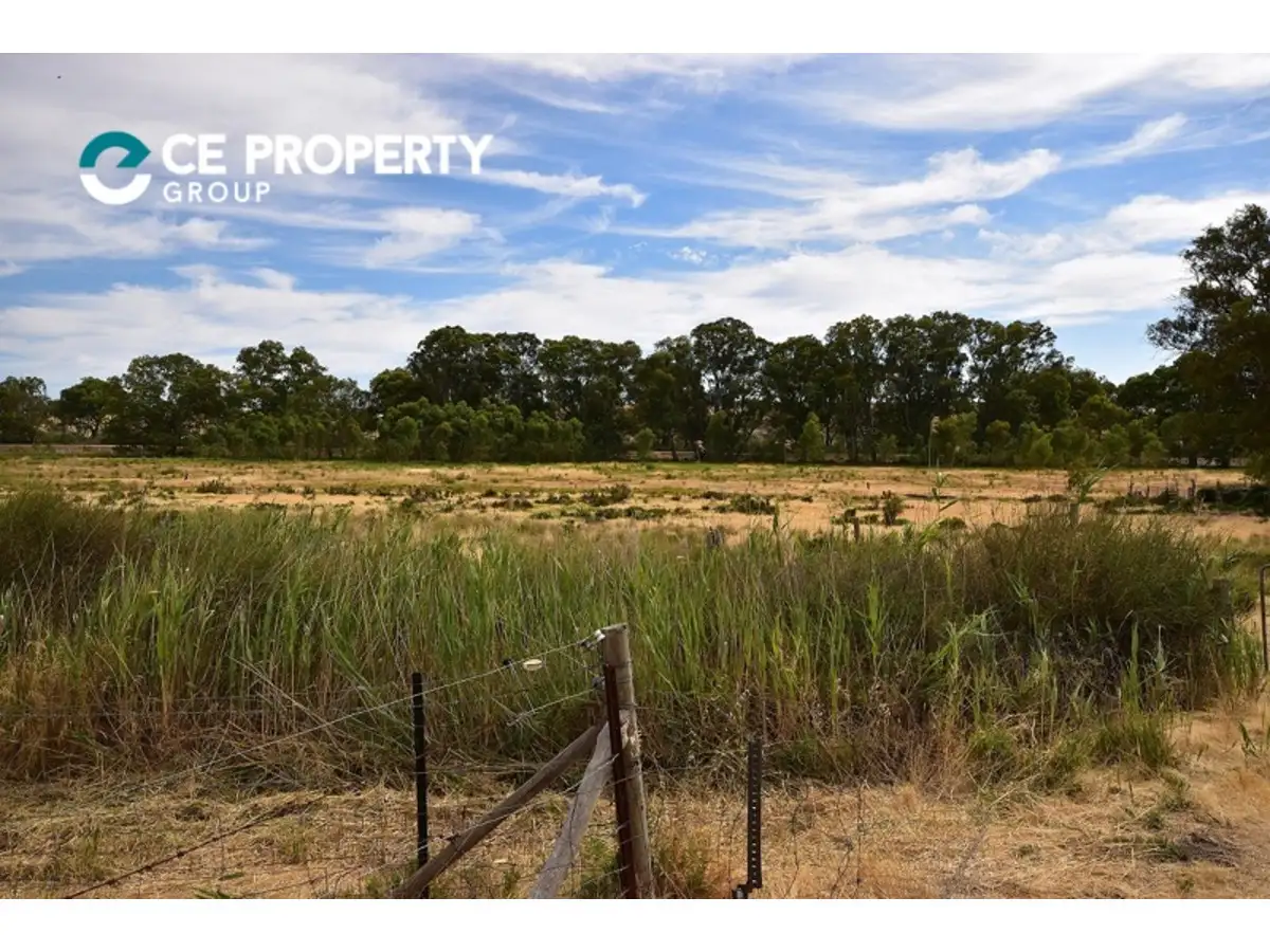 Main view of Homely rural property listing, Lot 52 North Bokara Road, Mypolonga SA 5254