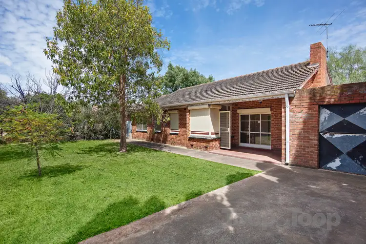 Main view of Homely house listing, 22 Wilcox Road, Elizabeth SA 5112