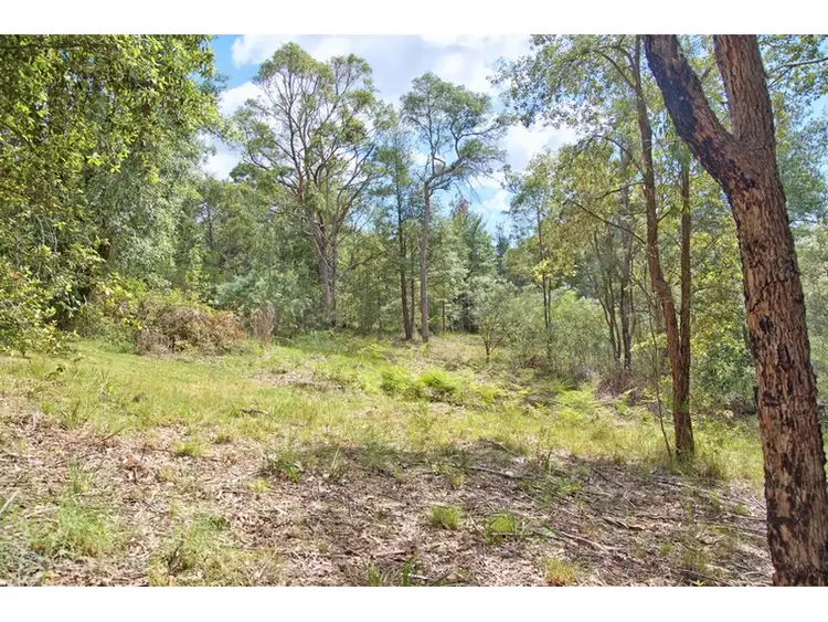 Seventh view of Homely house listing, 19 Torwood Street, Warrimoo NSW 2774
