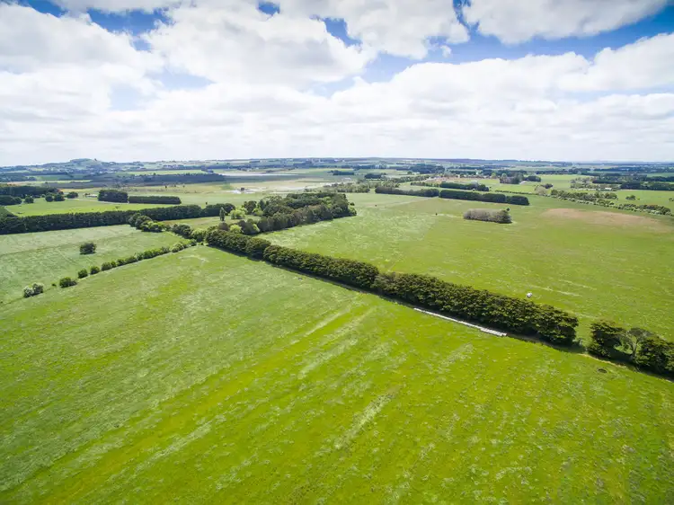 1140 Curdies-Leichfield Road, Cobrico VIC 3266
