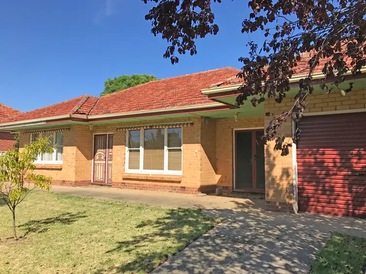 16 Coralie Street, Plympton SA 5038