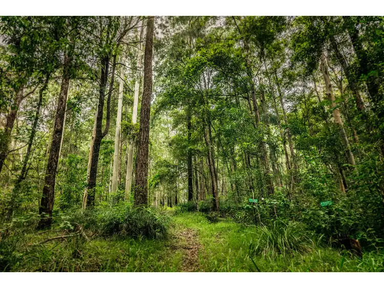Fourth view of Homely rural property listing, 78 Pulsford Place, Bellingen NSW 2454