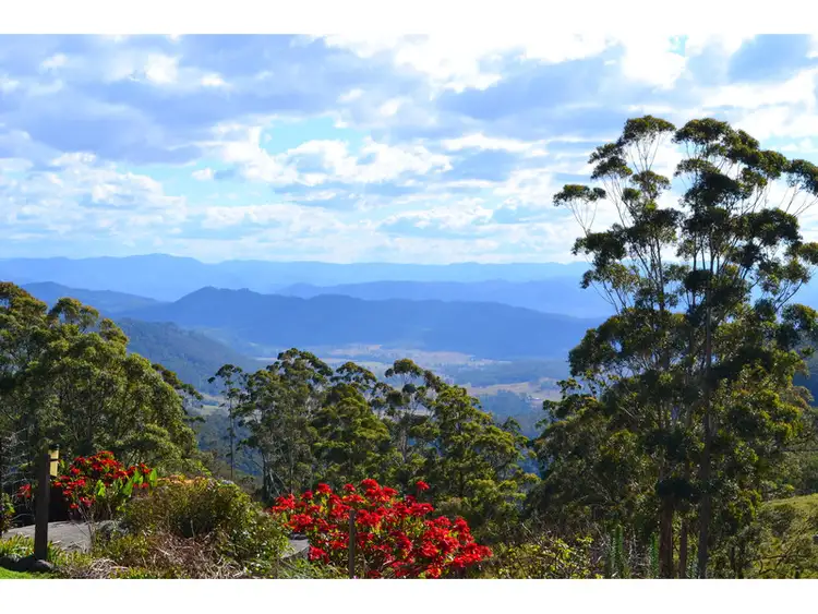 481 Ponsfords Road, Comboyne NSW 2429
