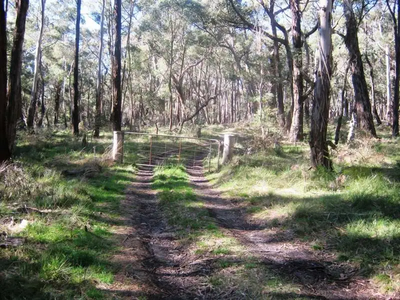 Main view of Homely rural property listing, 434 Bourke & Wills Track, Lancefield VIC 3435