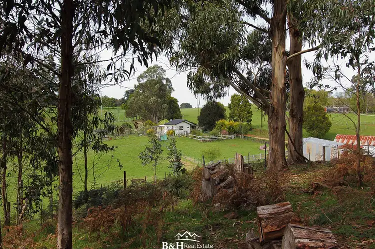 80 Penima Road, Ridgley TAS 7321