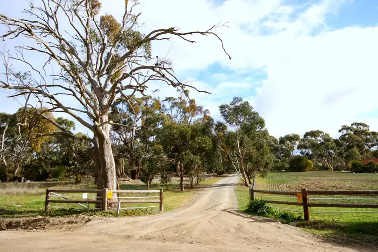 Second view of Homely rural property listing, 118 Hubbe Road, Clare SA 5453