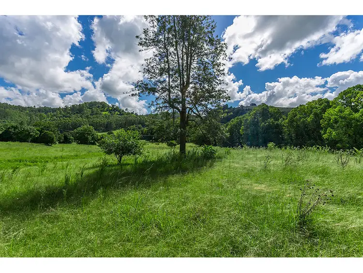 Fifth view of Homely rural property listing, 239 Tuntable Creek Road, The Channon NSW 2480