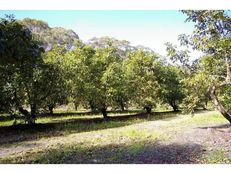 Second view of Homely land listing, 3321 Nelson Bay Road, Bobs Farm NSW 2316