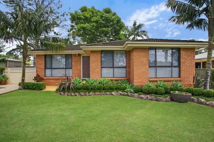 Main view of Homely house listing, 3 Birch Close, Medowie NSW 2318