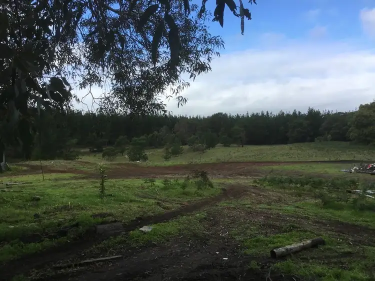 Fifth view of Homely rural property listing, 190 Kennedy Road, Tantanoola SA 5280