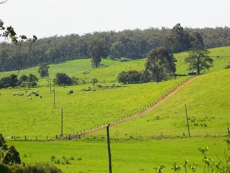 Main view of Homely house listing, 3/1 Graphite Road, Nannup WA 6275
