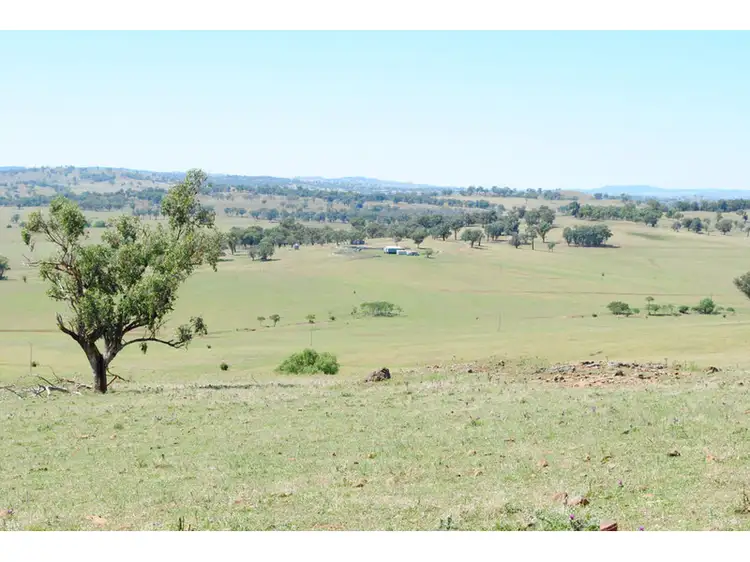 Main view of Homely rural property listing, 'Tolga' Tolga Road, Mumbil NSW 2820