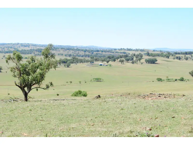 Main view of Homely rural property listing, 'Tolga' Tolga Road, Mumbil NSW 2820