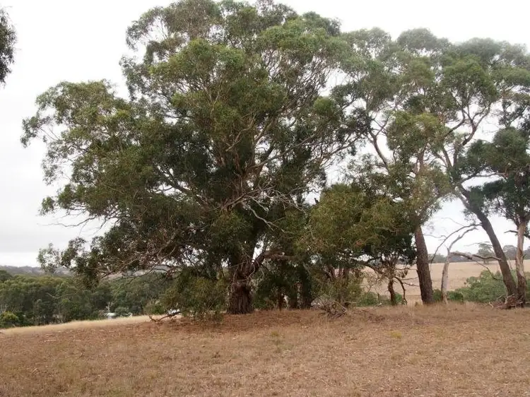 Second view of Homely land listing, 1871 Glenelg Highway, Wannon VIC 3301