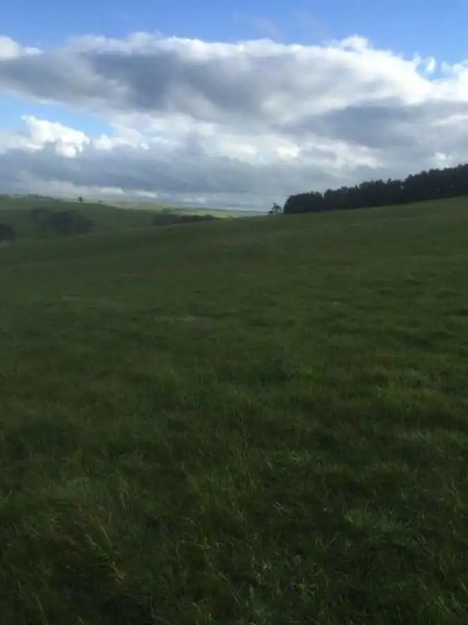 Seventh view of Homely rural property listing, Tarrenlea Road, Coleraine VIC 3315