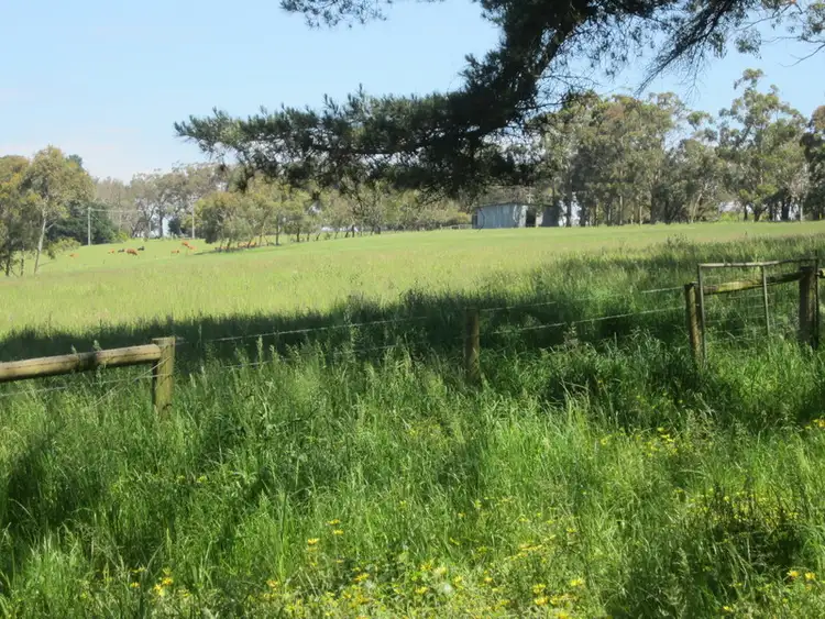 Sixth view of Homely rural property listing, 11 MacPhersons Lane, Main Ridge VIC 3928