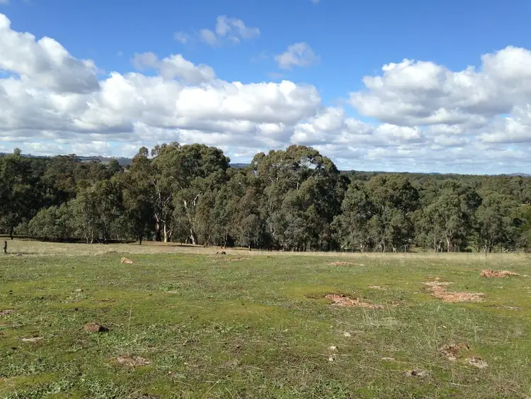 Sixth view of Homely rural property listing, 10, LOT 10 Millington Road, Williamstown SA 5351