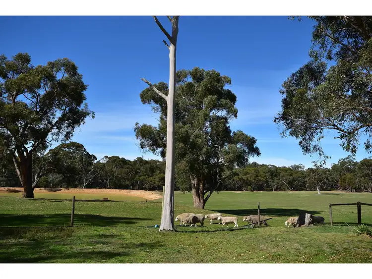 Seventh view of Homely rural property listing, 184 Canham Road, Birdwood SA 5234