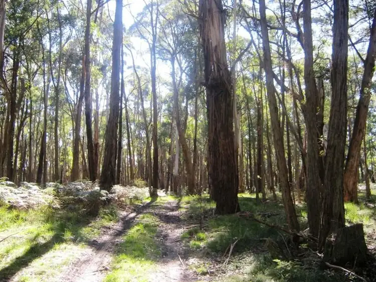 Fourth view of Homely rural property listing, 434 Bourke & Wills Track, Lancefield VIC 3435
