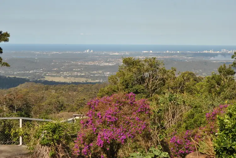 49 CENTRAL Avenue, Tamborine Mountain QLD 4272