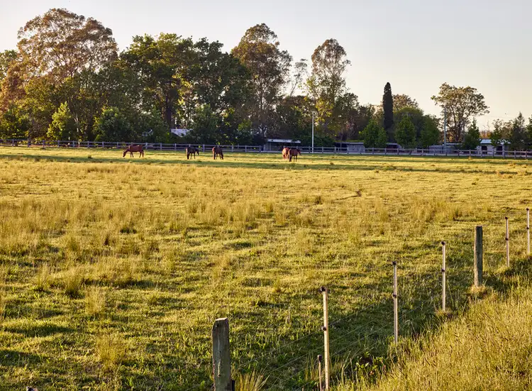 Fifth view of Homely rural property listing, 505 Cuthill Road, Cobbitty NSW 2570
