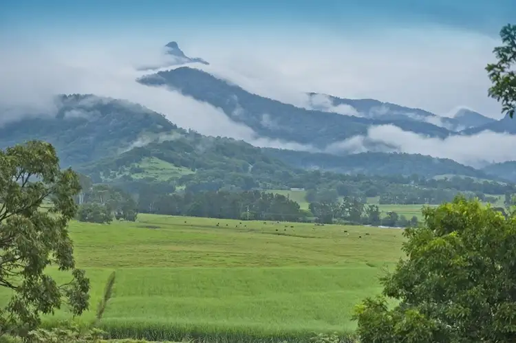 Fifth view of Homely house listing, 3 Tia Place, Murwillumbah NSW 2484