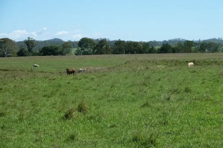 Third view of Homely rural property listing, 125 Eurara Road, Tabooba QLD 4285