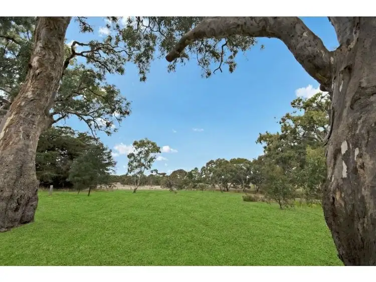 Wills Street/Martin Street Subdivision, Dunkeld VIC 3294
