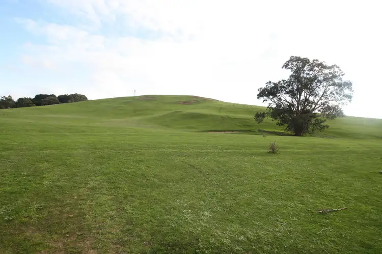 Tarranlea Road, Coleraine VIC 3315