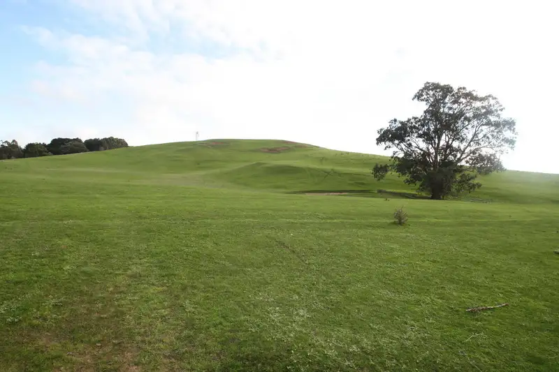 Main view of Homely rural property listing, Tarranlea Road, Coleraine VIC 3315