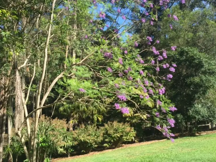 Second view of Homely rural property listing, 30 Nina Drive, Palmview QLD 4553