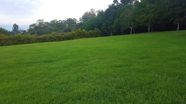 Fifth view of Homely land listing, LOT 4, 349 Balmoral Road, Montville QLD 4560