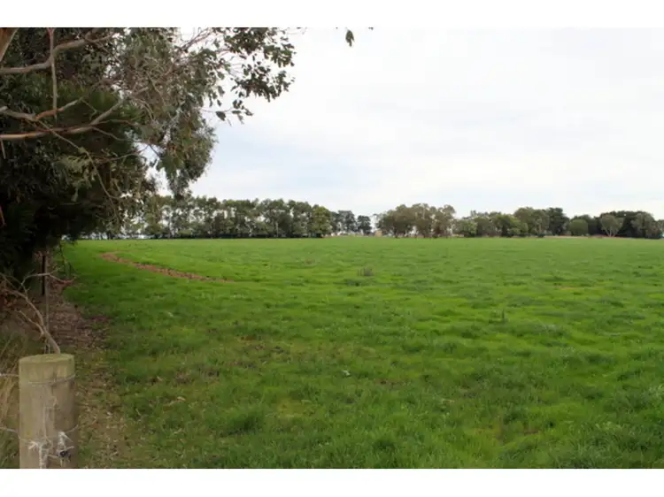 Fifth view of Homely rural property listing, 515 Tomahawk Creek Rd, Irrewillipe VIC 3249