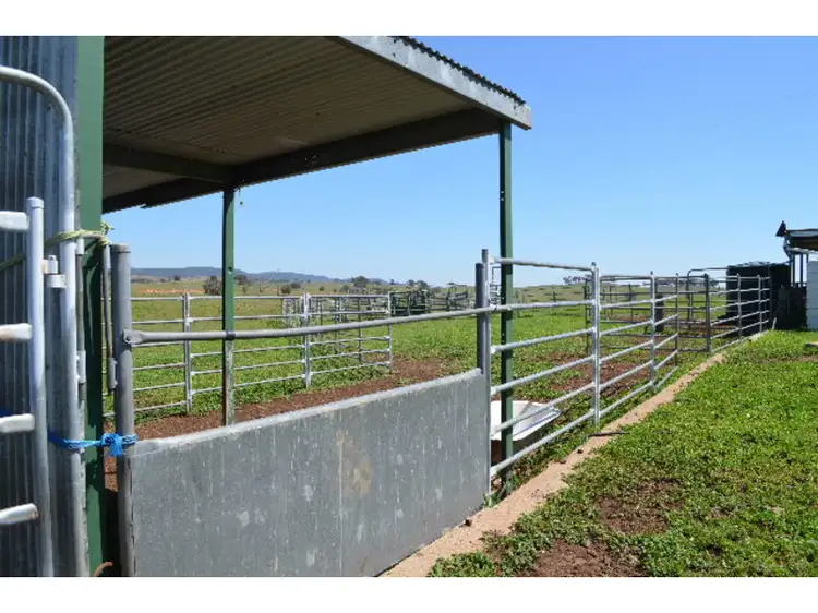 Fourth view of Homely rural property listing, 2364 Ophir Road, Orange NSW 2800