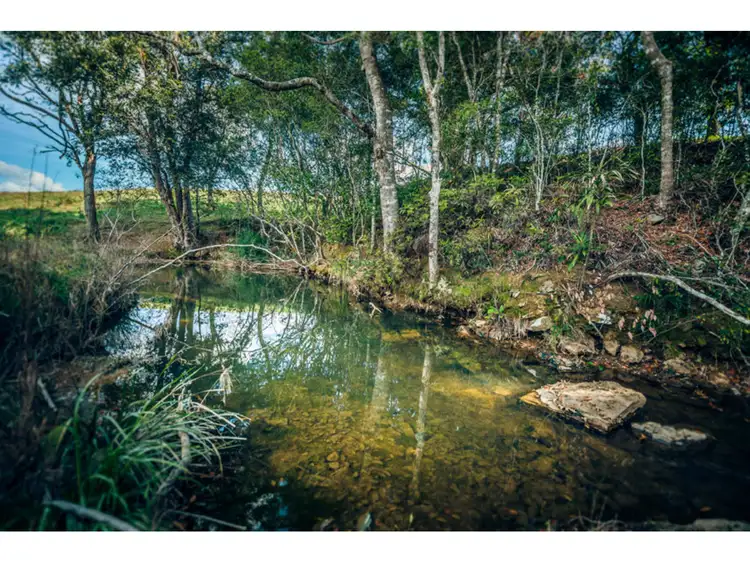 Third view of Homely rural property listing, 304 Slingsbys Road, Dorrigo NSW 2453