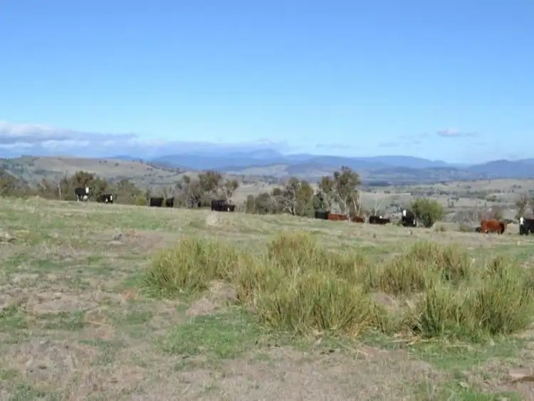 Seventh view of Homely rural property listing, LOT 61A McCormacks Lane, Mansfield VIC 3722