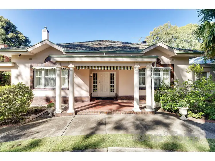 19 Whistler Avenue, Unley Park SA 5061