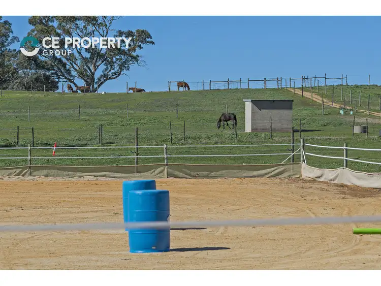 Fifth view of Homely rural property listing, 158 Cromer Road, Birdwood SA 5234