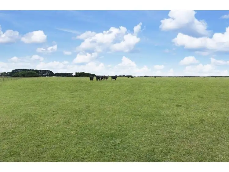 Main view of Homely rural property listing, 1 Blacks Lane, Purnim VIC 3278