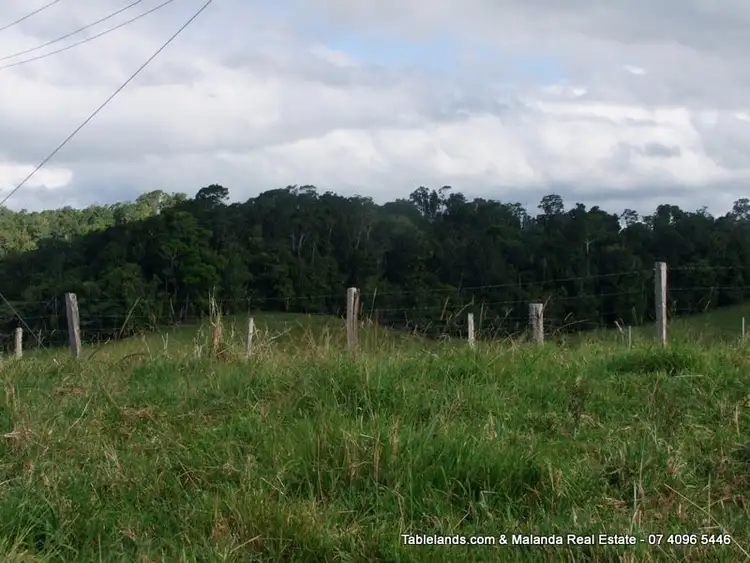 Fifth view of Homely land listing, L1073 71 Kjellberg Road, Millaa Millaa QLD 4886