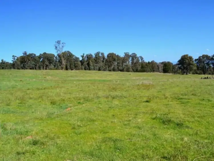Fourth view of Homely rural property listing, LOT 14, 142 Ambrose Drive, Mansfield VIC 3722
