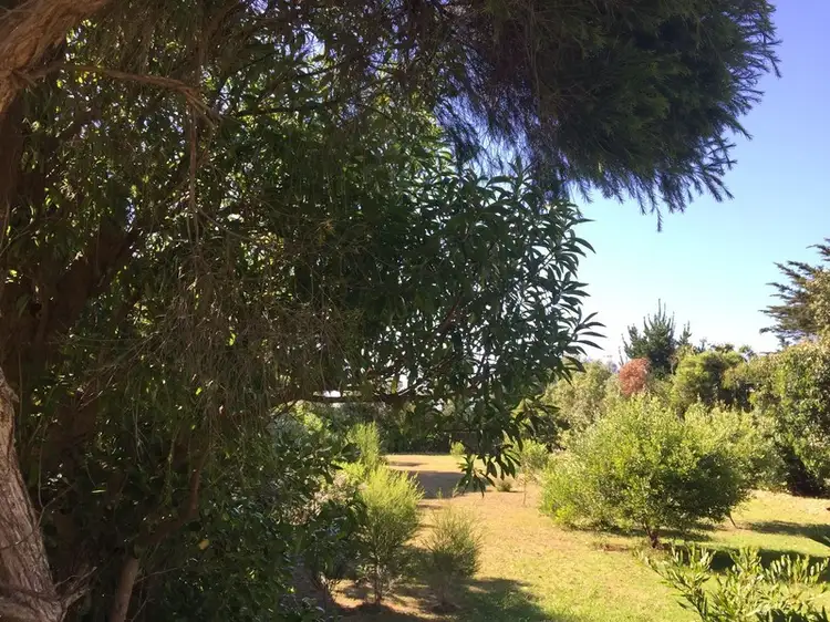 Third view of Homely land listing, 38 Pitcher Street, Port Campbell VIC 3269