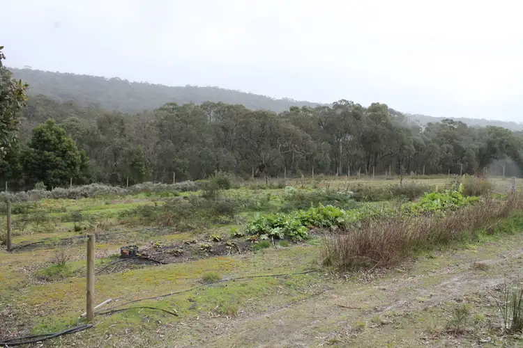 Seventh view of Homely rural property listing, 255 Kents Road, Barwon Downs VIC 3243